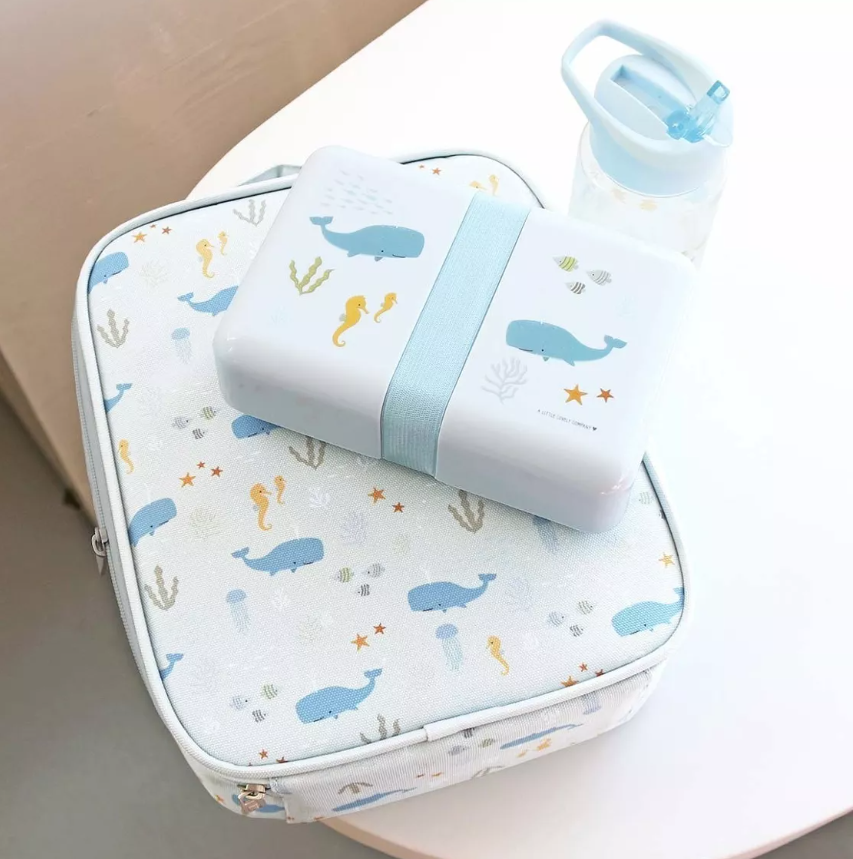 Sac isotherme océan